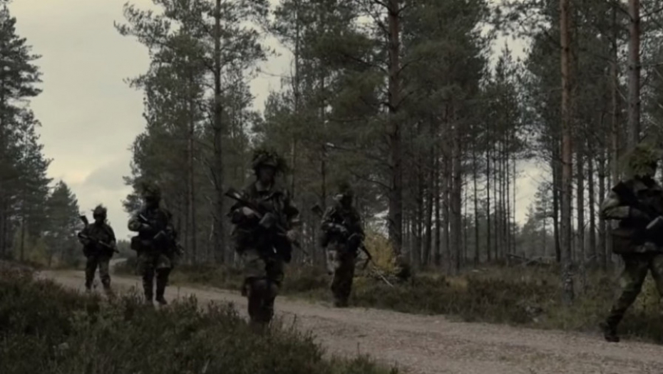 Švedska armija