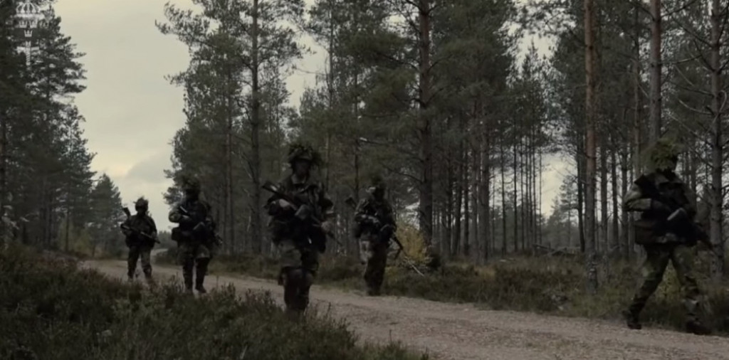 Švedska armija