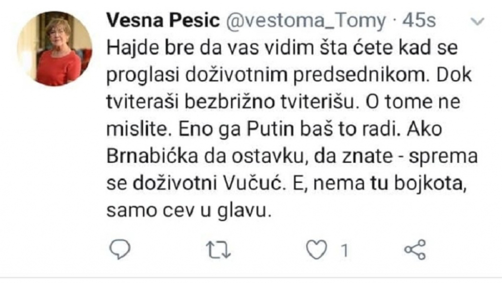 Objava Vesne Pe&scaron;ić
