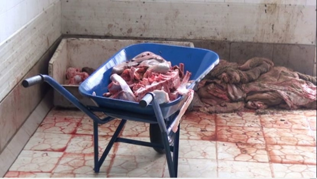 Krvavi potoci u Novoj Varo&scaron;i