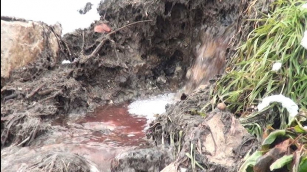 Krvavi potoci u Novoj Varo&scaron;i