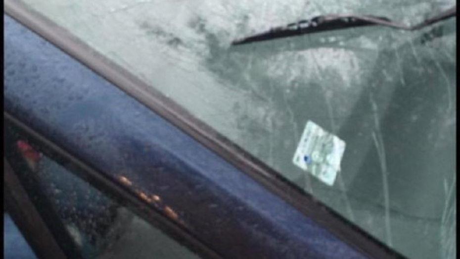 Slađana Slađa Petrušić