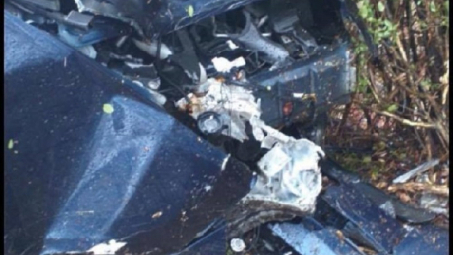 Slađana Slađa Petrušić