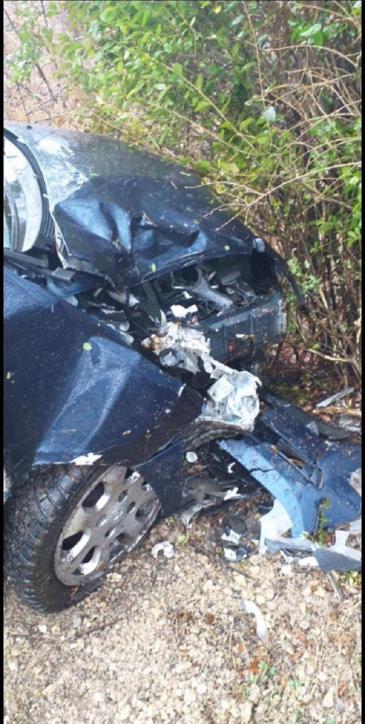 Slađana Slađa Petru&scaron;ić