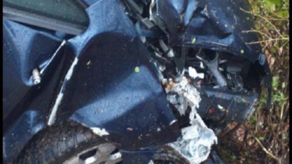 Slađana Slađa Petrušić