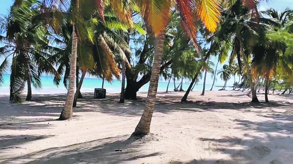 Kadrovi iz novog spota Saše Kovačevića