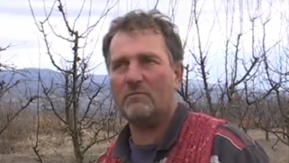 Porodica Đokić, siromaštvo