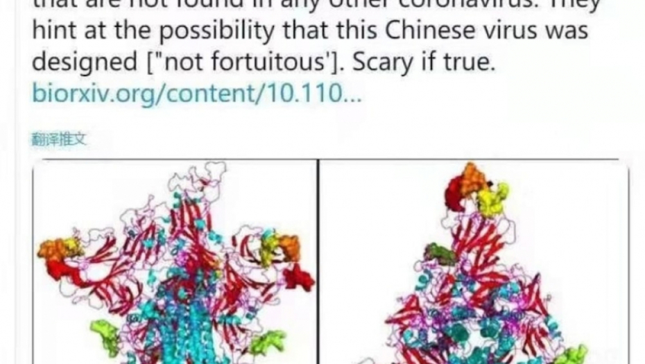 Istina o koronavirusu