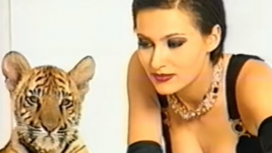 Svetlana Ražnatović Ceca  