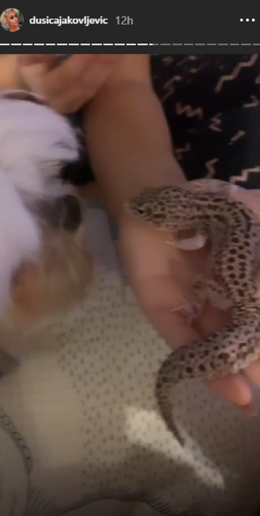 Dušica Jakovljević