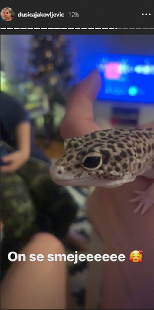 Dušica Jakovljević