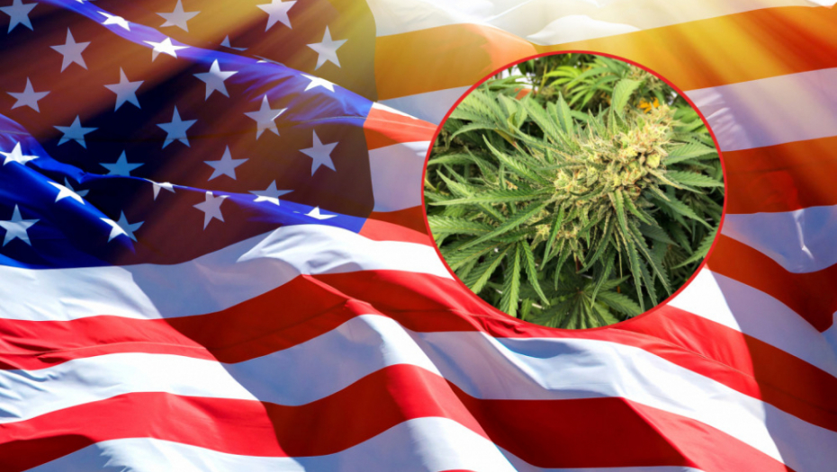 Američka zastava, marihuana