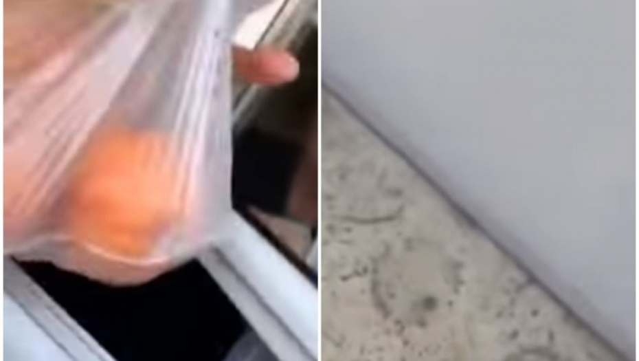 Pomorandže i penzionerka