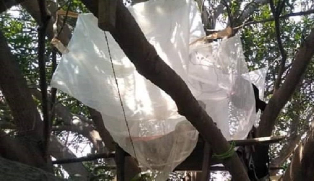 Radnici u samoizolaciji