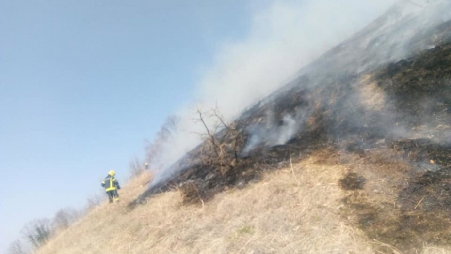 Požar na Fruškoj gori