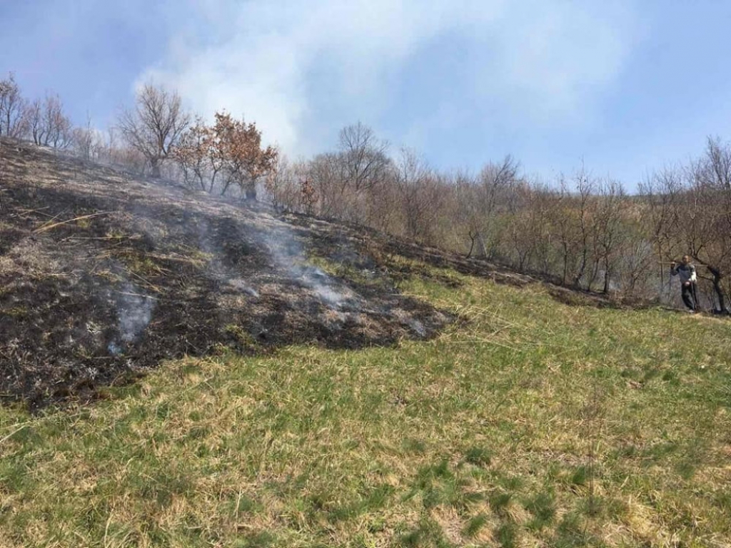 Požar na Fruškoj gori