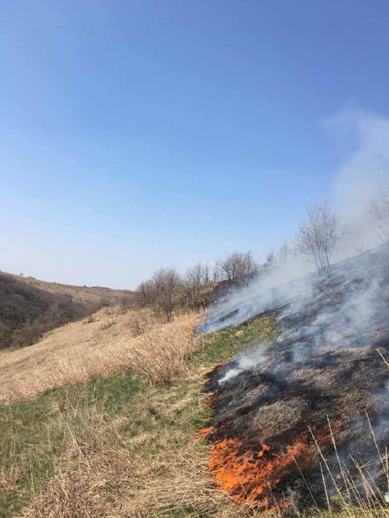 Požar na Fruškoj gori