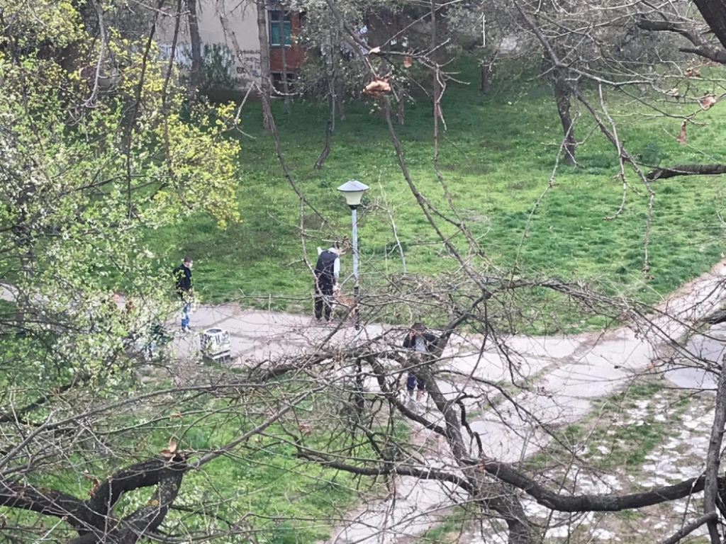 Kršenje policijskog časa