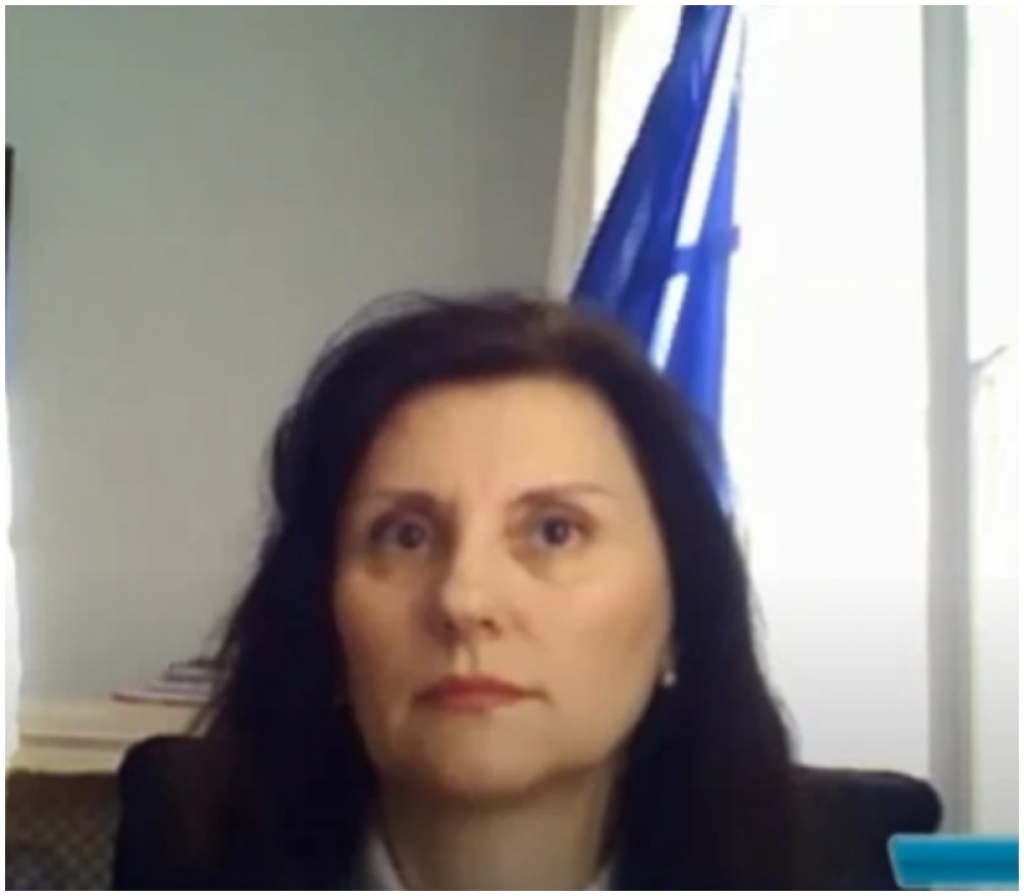 Ambasadorka Janković