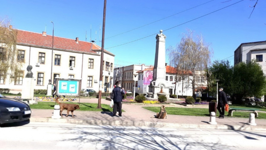 Vlasotince, korona virus