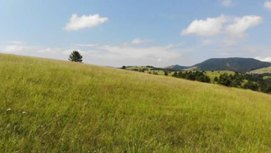 Tara, Zaovinsko jezero