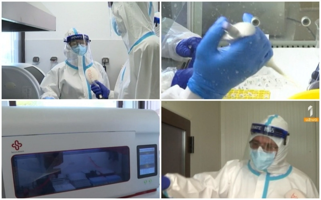 Oči u oči sa virusom u Batajnici