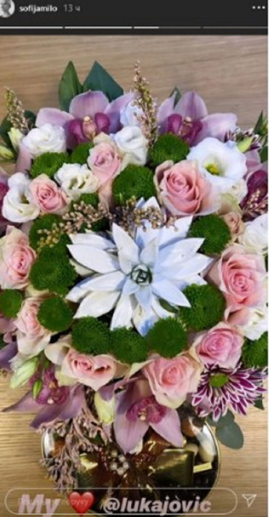 Sofija Milo&scaron;ević