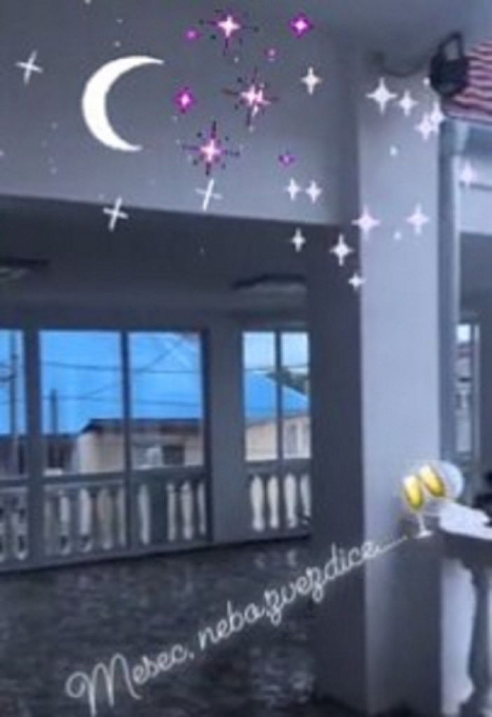 Svetlana Ceca Ražnatović