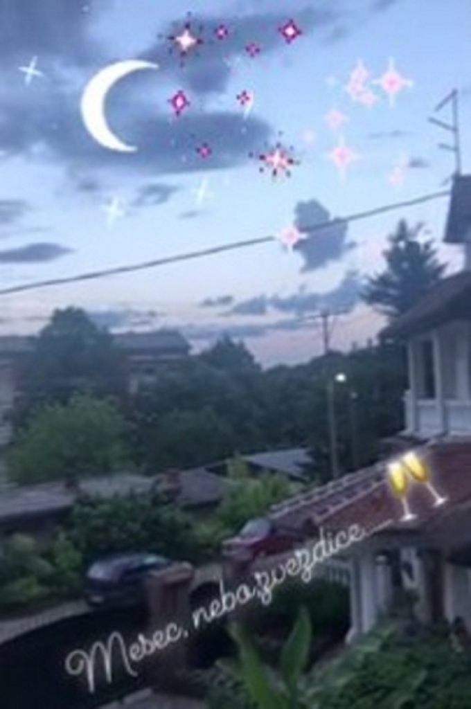 Svetlana Ceca Ražnatović