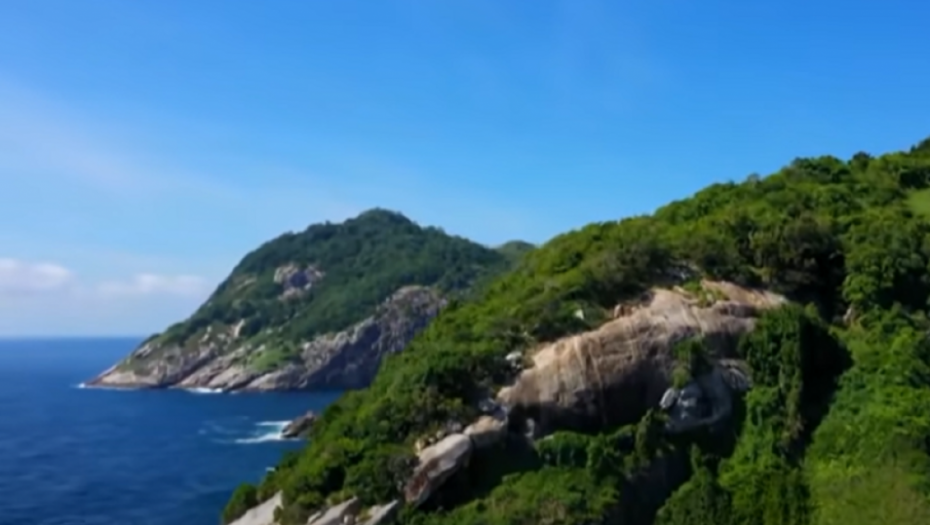 Ostrvo zmija u Brazilu