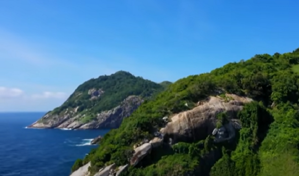 Ostrvo zmija u Brazilu