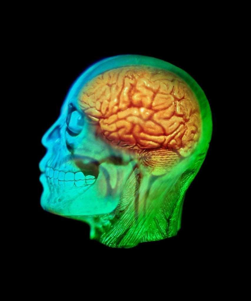 Hologram mozga i glave 