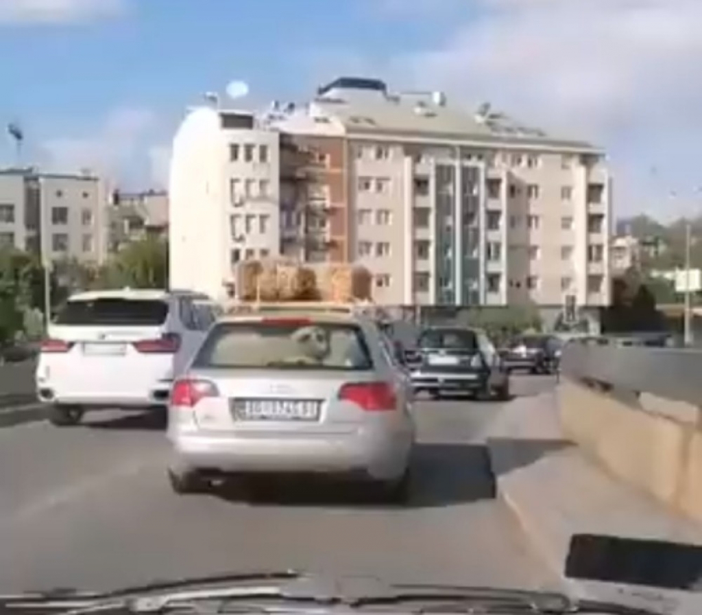 Nesvakidašnja scena na ulicama Beograda