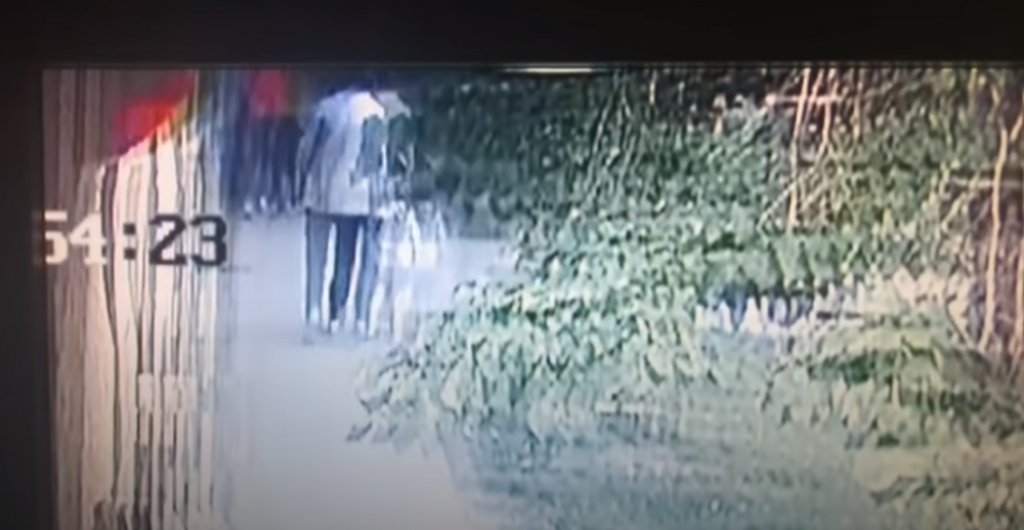 Napad rotvajlera na devojčicu