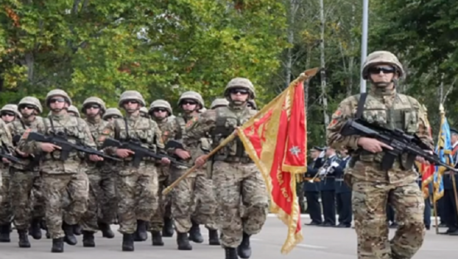Vojska Crna Gora