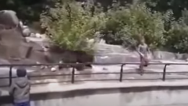 Pijani muškarac napao medveda