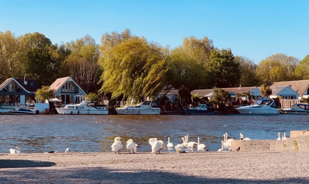 Volton na Temzi, Engleska