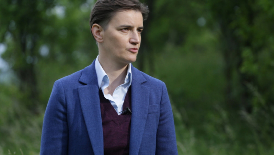 Ana Brnabić; Babušnica