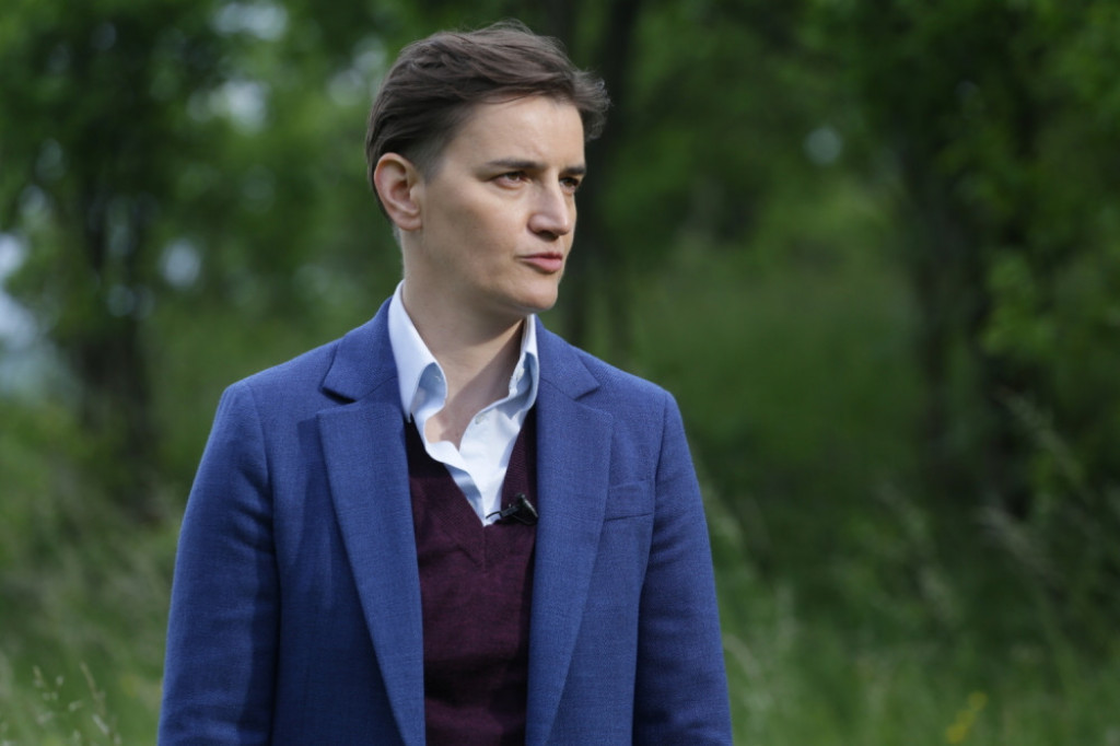 Ana Brnabić; Babušnica