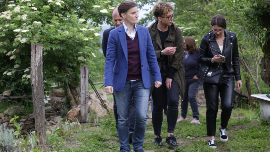 Ana Brnabić; Babušnica