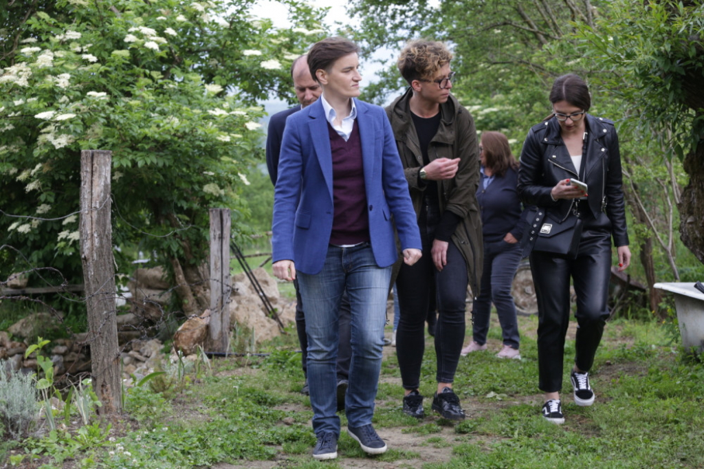 Ana Brnabić; Babu&scaron;nica