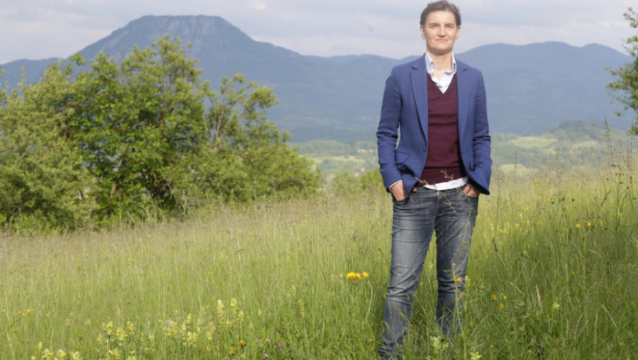 Ana Brnabić; Babušnica