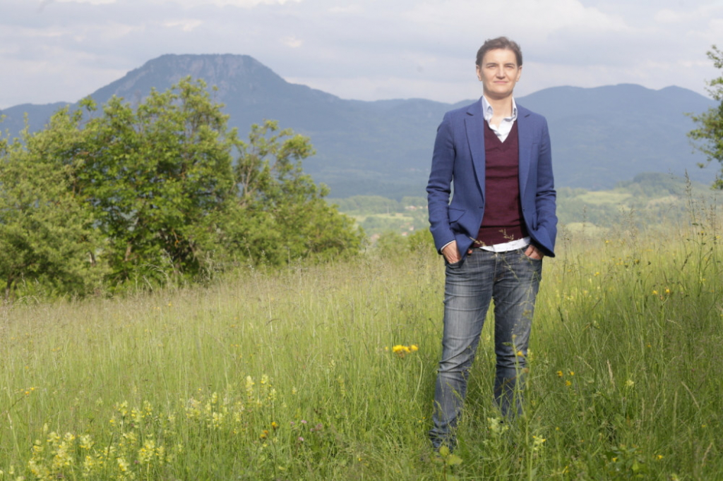 Ana Brnabić; Babu&scaron;nica