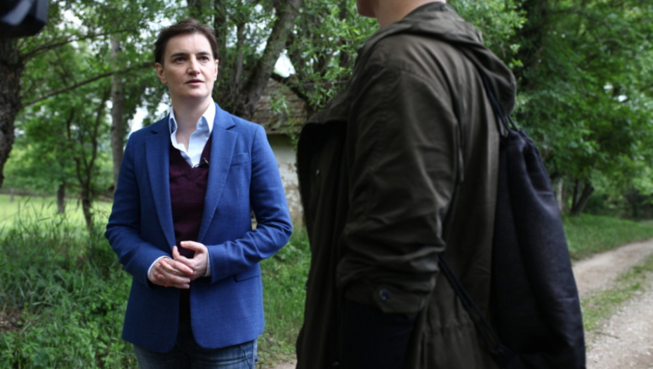 Ana Brnabić; Babušnica