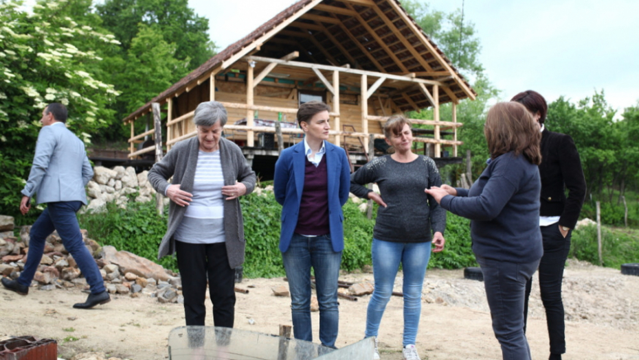 Ana Brnabić; Babušnica