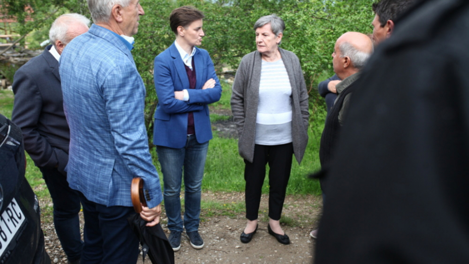 Ana Brnabić; Babušnica