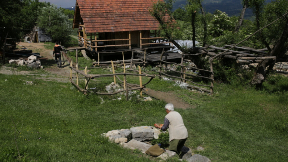 Ana Brnabić; Babušnica