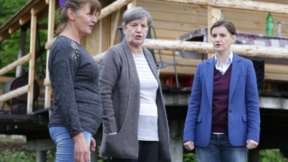 Ana Brnabić; Babušnica