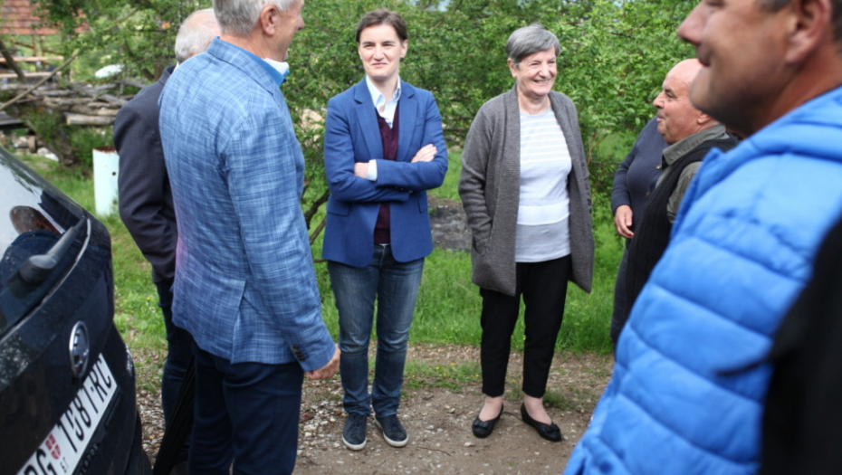 Ana Brnabić; Babušnica