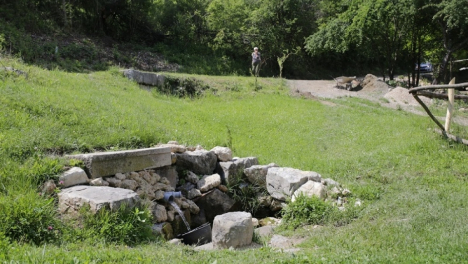 Ana Brnabić; Babušnica